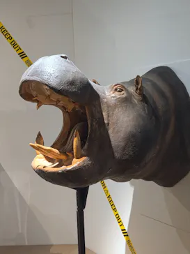 特別展「超危険生物展　科学で挑む生き物の本気」に投稿された画像（2026/5/13）