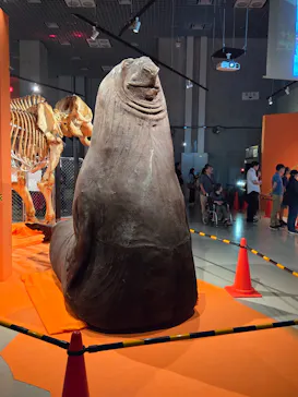 特別展「超危険生物展　科学で挑む生き物の本気」に投稿された画像（2026/5/13）