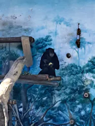 天王寺動物園に投稿された画像（2026/5/13）