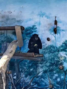 天王寺動物園に投稿された画像（2026/5/13）