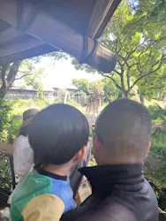 天王寺動物園に投稿された画像（2026/5/13）