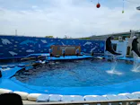 仙台うみの杜水族館に投稿された画像（2026/5/13）