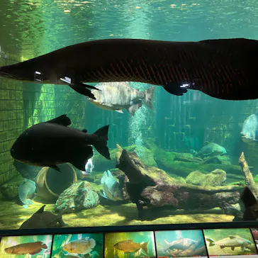 沖縄美ら海水族館に投稿された画像（2026/5/13）