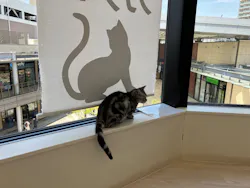Cat Café MOFF グランベリーパーク店に投稿された画像（2026/5/13）