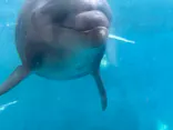 新江ノ島水族館に投稿された画像（2026/5/14）