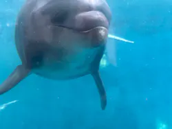 新江ノ島水族館に投稿された画像（2026/5/13）