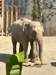 多摩動物公園に投稿された画像（2026/5/14）