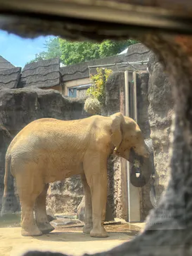 多摩動物公園に投稿された画像（2026/5/14）