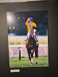 武豊 デビュー40年 ～前人未到の記録～　（銀座三越）に投稿された画像（2026/5/14）