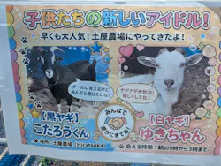 平塚土屋農場に投稿された画像（2026/5/14）