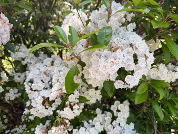 名古屋市東山動植物園に投稿された画像（2026/5/14）