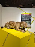 特別展「超危険生物展　科学で挑む生き物の本気」に投稿された画像（2026/5/14）