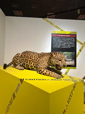 特別展「超危険生物展　科学で挑む生き物の本気」に投稿された画像（2026/5/14）