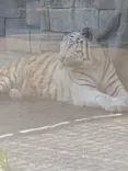 東武動物公園に投稿された画像（2026/5/14）