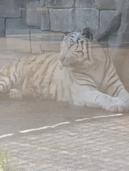 東武動物公園に投稿された画像（2026/5/14）