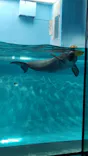 マリンワールド海の中道に投稿された画像（2026/5/14）