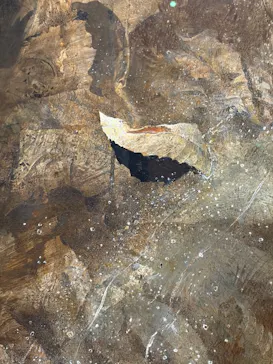 東京都美術館開館100周年記念　アンドリュー・ワイエス展に投稿された画像（2026/5/14）