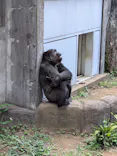 千葉市動物公園に投稿された画像（2026/5/14）