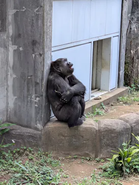 千葉市動物公園に投稿された画像（2026/5/14）