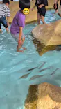 伊豆・三津シーパラダイスに投稿された画像（2026/5/14）