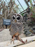 伊豆シャボテン動物公園に投稿された画像（2026/5/14）