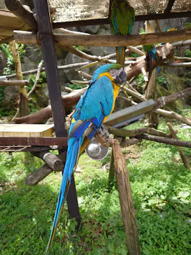 伊豆シャボテン動物公園に投稿された画像（2026/5/14）