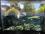 栃木県なかがわ水遊園に投稿された画像（2026/5/14）