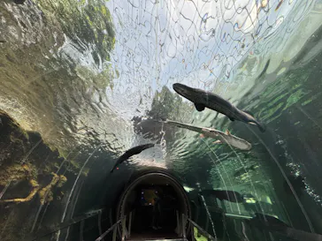 栃木県なかがわ水遊園に投稿された画像（2026/5/14）