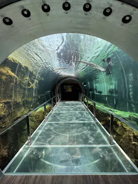 栃木県なかがわ水遊園に投稿された画像（2026/5/14）