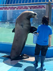 ゼロ距離水族館 伊勢シーパラダイスに投稿された画像（2026/5/14）