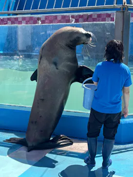 ゼロ距離水族館 伊勢シーパラダイスに投稿された画像（2026/5/14）