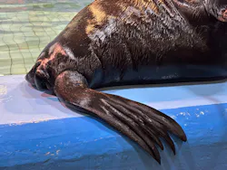 ゼロ距離水族館 伊勢シーパラダイスに投稿された画像（2026/5/14）