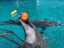 ゼロ距離水族館 伊勢シーパラダイスに投稿された画像（2026/5/14）