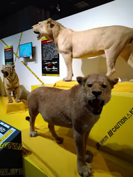 特別展「超危険生物展　科学で挑む生き物の本気」に投稿された画像（2026/5/14）