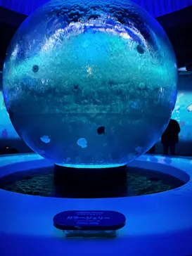 新江ノ島水族館に投稿された画像（2026/5/14）