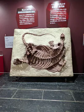 大絶滅展ー生命史のビッグファイブ（名古屋会場）に投稿された画像（2026/5/14）