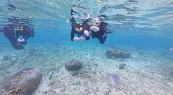 沖縄ダイビングショップシーモールに投稿された画像（2026/5/14）