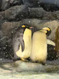 名古屋港水族館に投稿された画像（2026/5/14）