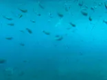 ベイクルーズ・宮古島 モンブランに投稿された画像（2026/5/14）