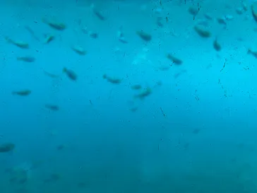 ベイクルーズ・宮古島 モンブランに投稿された画像（2026/5/14）