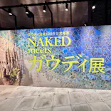 NAKED meets ガウディ展【大阪】に投稿された画像（2026/5/14）