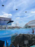 名古屋港水族館に投稿された画像（2026/5/14）