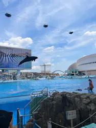 名古屋港水族館に投稿された画像（2026/5/14）
