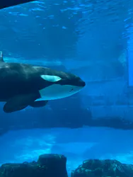 名古屋港水族館に投稿された画像（2026/5/14）