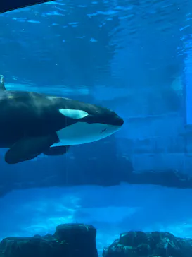 名古屋港水族館に投稿された画像（2026/5/14）