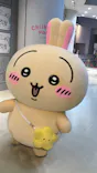 ちいかわパークに投稿された画像（2026/5/14）