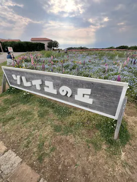 長井海の手公園ソレイユの丘に投稿された画像（2026/5/14）