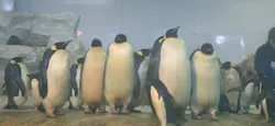 アドベンチャーワールドに投稿された画像（2026/5/15）