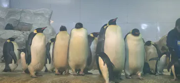 アドベンチャーワールドに投稿された画像（2026/5/15）