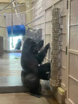 名古屋市東山動植物園に投稿された画像（2026/5/15）
